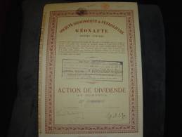 Action De Dividende " Sté Géologique Et Petrolifère GEONAPHTE " Bruxelles 1923 - Aardolie