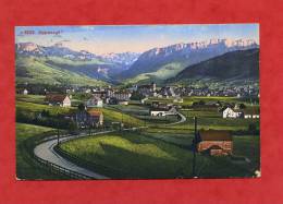 * APPENZELL-1920(Voir Les 2 Timbres Au Dos) - Appenzell