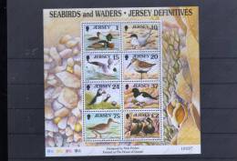 JERSEY Nº HB 17 - Marine Web-footed Birds