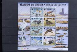 JERSEY Nº HB 22 - Marine Web-footed Birds