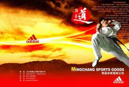 SA30-051  @      Taekwondo  , Postal Stationery -Articles Postaux -- Postsache F - Non Classificati