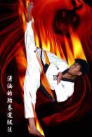 SA30-093  @      Taekwondo  , Postal Stationery -Articles Postaux -- Postsache F - Zonder Classificatie