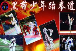 SA30-047  @      Taekwondo  , Postal Stationery -Articles Postaux -- Postsache F - Non Classificati