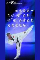 SA30-069  @      Taekwondo  , Postal Stationery -Articles Postaux -- Postsache F - Ohne Zuordnung