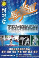 SA30-091  @      Taekwondo  , Postal Stationery -Articles Postaux -- Postsache F - Non Classés