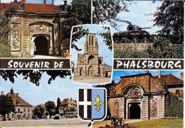 57 - Moselle -  PHALSBOURG    -  Format  10,4  X  14,8  -  Pierron  VM  304 - Phalsbourg