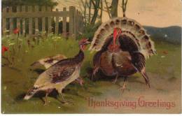 Thanksgiving Greetings Turkey, PFB #8409, C1900s Vintage Embossed Postcard - Thanksgiving