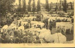 France-Carte Postale-Moulins Engilbert-La Foire(reedition)-nouveaux,2/s Cans - Moulin Engilbert