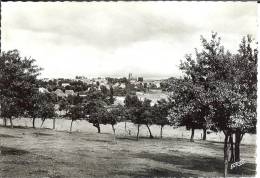 Delcampe - 57 - Moselle - PHALSBOURG - Vue Générale - Dentelée - Format 10,5  X  14,9 - Phalsbourg