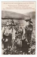 CPA :13 Bouches Du Rhône : Marseille : Plantations Fleurs De Pyrethre  Etablissement Caubet :2 Femmes Cueillant Fleurs - Ambachten