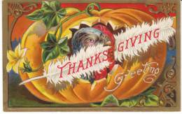Thanksgiving Greetings Turkey In Pumpkin, C1900s Vintage Embossed Postcard - Giorno Del Ringraziamento