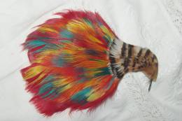 PLUME à CHAPEAU Tige Tête D' OISEAU  COIFFE Couleurs Chatoyantes 14 Cms - Headdresses, Hats, Caps