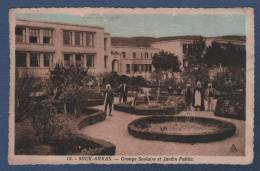 ALGERIE CP ANIMEE SOUK AHRAS - GROUPE SCOLAIRE ET JARDIN PUBLIC - EDITIONS PHOTO AFRICAINES ALGER N° 18 - Souk Ahras