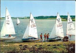 57 - Moselle - MORHANGE- Lac De La Mutche - Départ Des Régates - Format  10,5  X  14,6 - Morhange