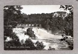 34074    Svizzera,   Rheinfall  Mit  Schloss Laufen,  NV - Autres & Non Classés