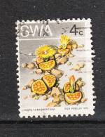 Africa Sud Ovest  ( SWA )   -   1973.  Cactus Autoctoni - Cactusses