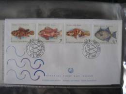 Cyprus 1993 Fishes Of Cyprus FDC - Lettres & Documents