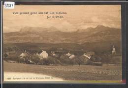 DISTRICT D´ORON /// SAVIGNY - JOURNEE REGIONALE DES JEUNESSES DE LA BROYE LE 23 JUILLET 1916 - TB - Savigny