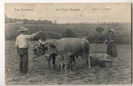 Au Pays Basque 64  Les Pyrénées Dans Les Champs  Travaux Agricoles Boeufs Attelés (voir Scan) - Aquitaine