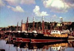 AK Saßnitz/Sassnitz, Hafen, Ung, 1964 - Rügen