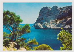 CALANQUE MEDITERRANEENNE - CAL 3 - CARTE NEUVE - Quartiers Sud, Mazargues, Bonneveine, Pointe Rouge, Calanques