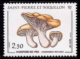 St-Pierre Et Miquelon YT 475 - Neufs