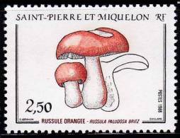 St-Pierre Et Miquelon YT 486 - Unused Stamps