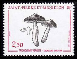 St-Pierre Et Miquelon YT 497 - Unused Stamps