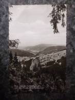 ALLEMAGNE.FELDBERG.      TITISEE.PHOTO VERITABLE.1978.TBE. - Feldberg