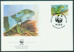 Tonga  1990  WWF Kurzkammleguan  (4 FDC  Kpl. )  Mi: 1140-43 (11,00 EUR) - Tonga (1970-...)