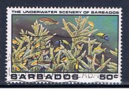 BDS+ Barbados 1980 Mi 516 Korallen - Barbados (1966-...)