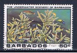 BDS+ Barbados 1980 Mi 516 Korallen - Barbades (1966-...)