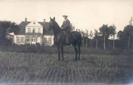 Langeln Bei Barmstedt Hofbesitzer P Boehmer Zu Pferd Ross  Gelaufen 1.10.1913 HOHENWESTEDT Private Fotokarte - Pinneberg