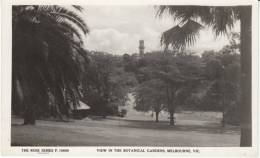 Melbourne Australia, Botanical Gardens, C1910s/30s? Vintage Real Photo Rose Series P 10600 Postcard - Melbourne