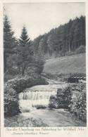 Schömberg, Schwarzw.,  Bach Am Waldrand,  Brunnen Lebendigen Wassers!, Um 1930 - Schömberg