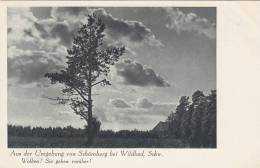 Schömberg, Schwarzw., Wolken! Sie Gehen Vorüber!, Um 1930 - Schömberg