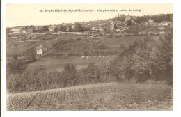 89 -  SAINT-SAUVEUR-en-PUYSAYE  -  Vue Générale Et Vallée Du Loing  - Troupeau De Vaches Dans Les Prés - Saint Sauveur En Puisaye