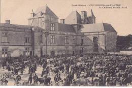¤¤  -    COULONGES-sur-L'AUTIZE   -   Le Chateau Façade Nord  -  Marché Aux Bestiaux , Vaches , Boeufs   -  ¤¤ - Coulonges-sur-l'Autize