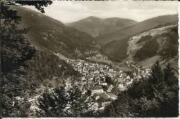 ALLEMAGNE . TODTNAU . LUFTKURORT UND WINTERPORTPLATZ . IM SÜDLICHEN SCHWARZWALD - Todtnau