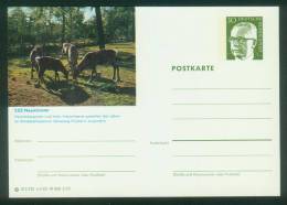 Bund BPK  1973  Mi: P 109 A7-062  Neumünster - Zoo - Rehe - Bildpostkarten - Ungebraucht