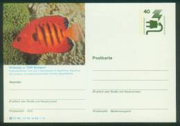 Bund BPK  1976  Mi: P 120 D9-130  Stuttgart - Zoo Wilhelma - Fisch - Geïllustreerde Postkaarten - Ongebruikt