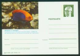 Bund BPK  1973  Mi: P 109 A6-051  Stuttgart - Zoo Wilhelma - Fisch - Bildpostkarten - Ungebraucht