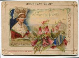 FIGURINA CROMO PUBBLICITA CIOCCOLATO CHOCOLAT LOUIT FLEURS DE FRANCE CHAMPAGNE - Louit