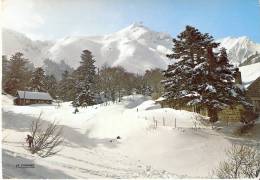 PAYSAGE DE NEIGE EN AUVERGNE 63 - 7.2.1977 - U-2 - Damgan