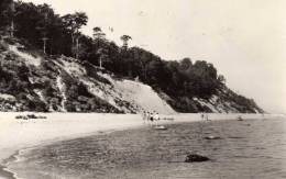 00534 Blick Auf Den Strand Vom Ostseebad BANSIN Auf Usedom - Usedom