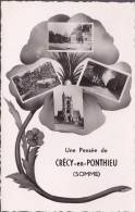 CPA - CPSM - 80 - CRECY En PONTHIEU - Pensée - Roisel