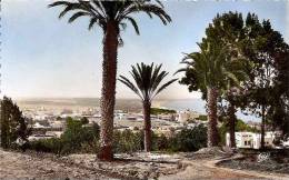 AGADIR VUE GENERALE SUR LA VILLE NOUVELLE ,COULEUR  REF 30336 - Agadir