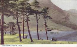 CP  BUTTERMERE  ANGLETERRE ENGLISH LAKE - Buttermere