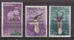 D0036 - SOMALIE Yv N°1 + AERIENNE ** ANIMAUX ANIMALS - Somalie (1960-...)