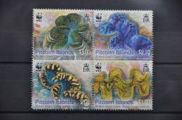 H 105 ++  2012 PITCAIRN ISLANDS GIANIT SHELLS SCHELPEN MUSCHEL  ++ MNH POSTFRIS ** - Pitcairn Islands